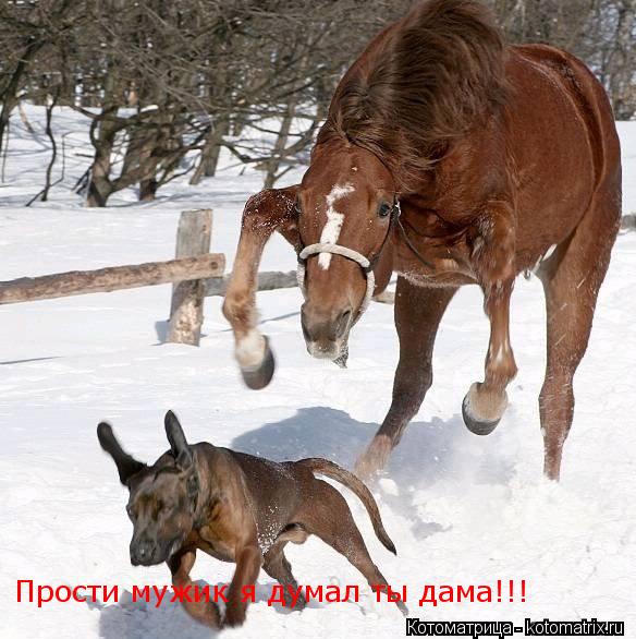 Прости мужик я думал ты дама!!!... Котоматрица: Прости мужик я думал ты дама!!!