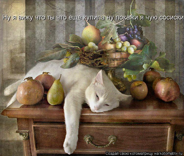Котоматрица: Ну я вижу что ты что ещё купила ну покажи я чую сосиски