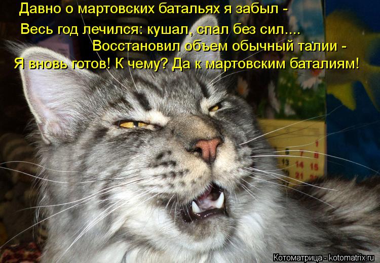 Котоматрица: Давно о мартовских батальях я забыл - Весь год лечился: кушал, спал без сил.... Восстановил объем обычный талии - Я вновь готов! К чему? Да к мар