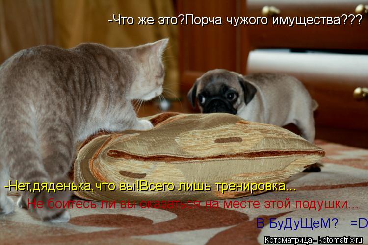 Котоматрица: -Что же это?Порча чужого имущества??? -Нет,дяденька,что вы!Всего лишь тренировка... Не боитесь ли вы оказаться на месте этой подушки... В БуДуЩе