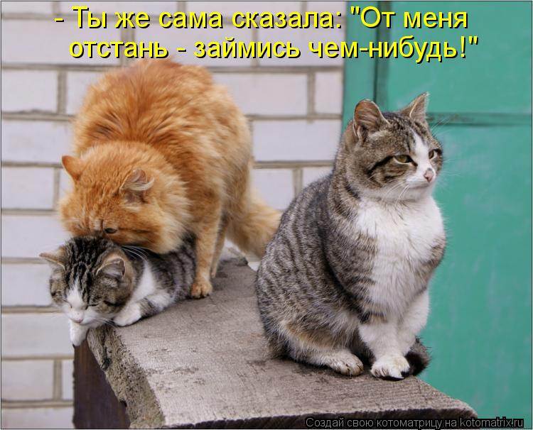 Котоматрица: - Ты же сама сказала: "От меня отстань - займись чем-нибудь!"