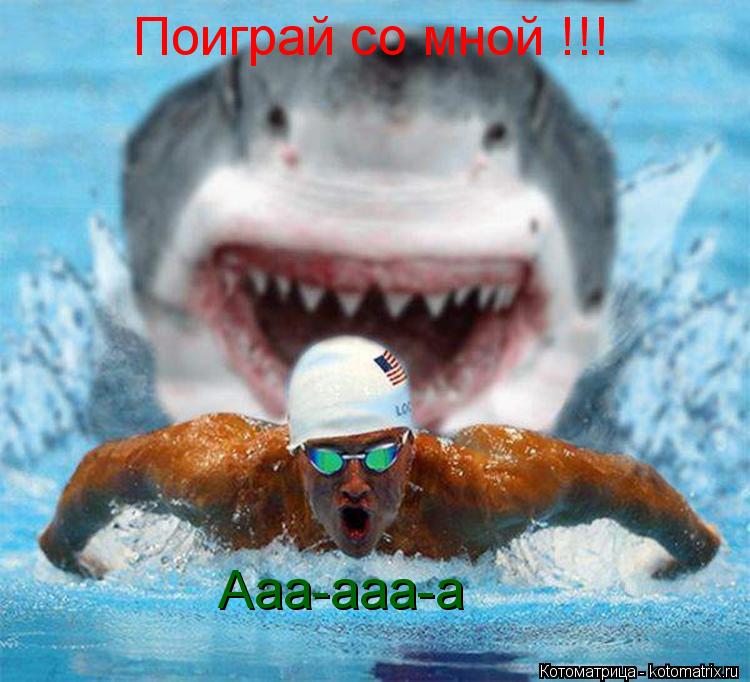 Котоматрица: Поиграй со мной !!! Ааа-ааа-а