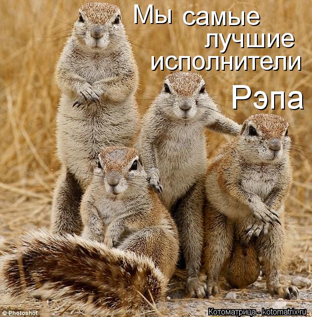 Котоматрица: Мы самые лучшие исполнители Рэпа