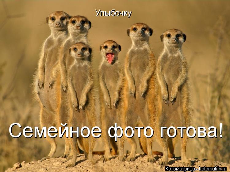 Котоматрица: Улыбочку  Семейное фото готова!