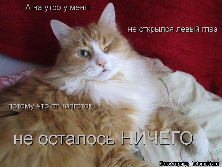 Котоматрица: А на утро у меня не открылся левый глаз потому что от колготок не осталось НИЧЕГО