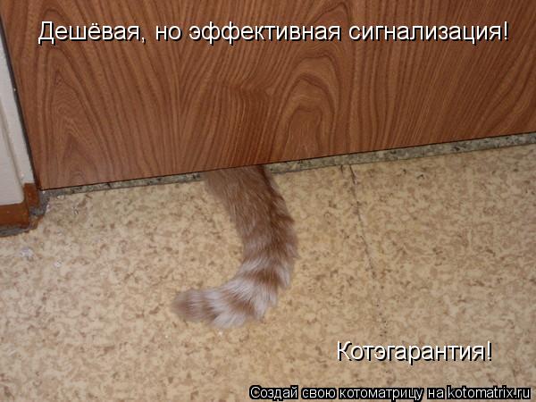 Котоматрица: Дешёвая, но эффективная сигнализация! Котэгарантия!