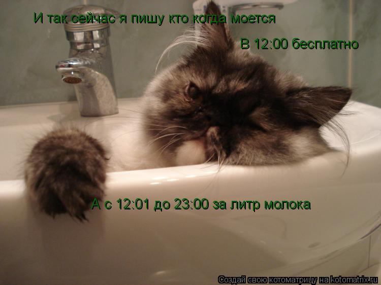 Котоматрица: И так сейчас я пишу кто когда моется  В 12:00 бесплатно А с 12:01 до 23:00 за литр молока
