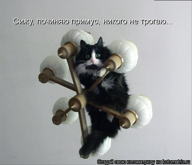 Котоматрица: Сижу, починяю примус, никого не трогаю...