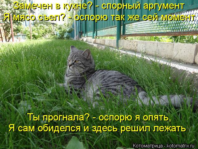 Котоматрица: Замечен в кухне? - спорный аргумент Я мясо съел? - оспорю так же сей момент Ты прогнала? - оспорю я опять, Я сам обиделся и здесь решил лежать