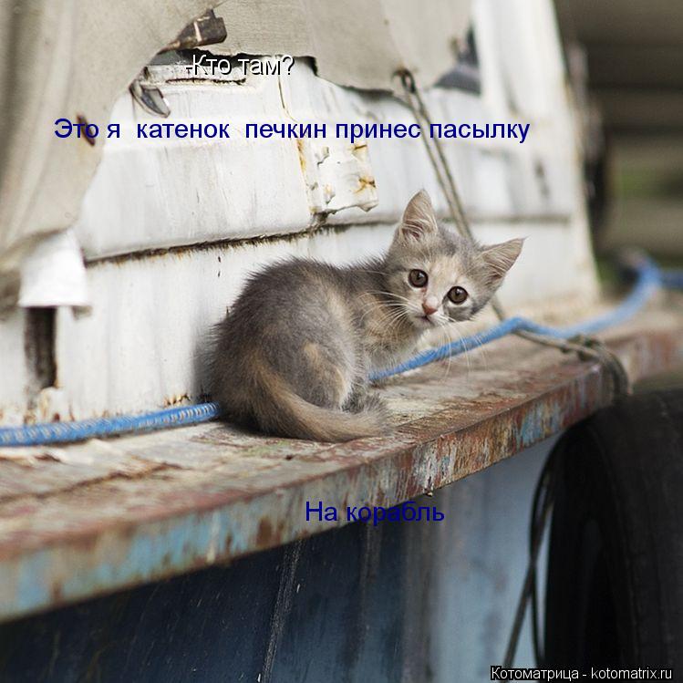 Котоматрица: -Кто там? Это я  катенок  печкин принес пасылку  Это я  катенок  печкин принес пасылку !!! На корабль На корабль