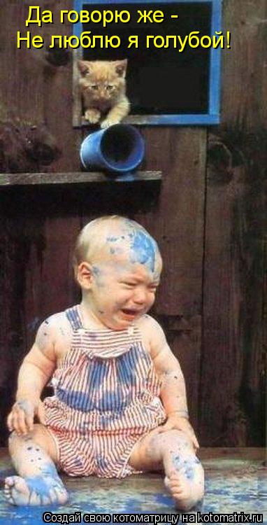 Да говорю же - Не люблю я голубой!... Котоматрица: Да говорю же - Не люблю я голубой!