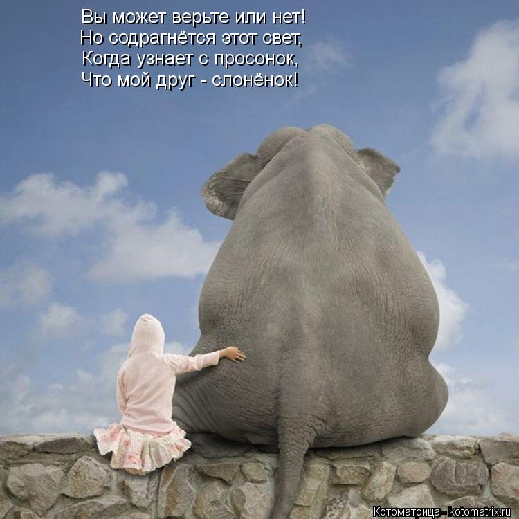 Котоматрица: Вы может верьте или нет! Но содрагнётся этот свет, Когда узнает с просонок, Что мой друг - слонёнок!