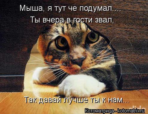 Котоматрица: Мыша, я тут че подумал.... Ты вчера в гости звал, Так давай лучше ты к нам...