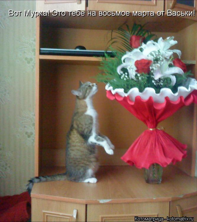 Котоматрица: Вот Мурка! Это тебе на восьмое марта от Васьки!