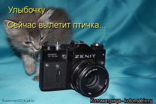 Улыбочку... Сейчас вылетит птичка...... Котоматрица: Улыбочку... Сейчас вылетит птичка...