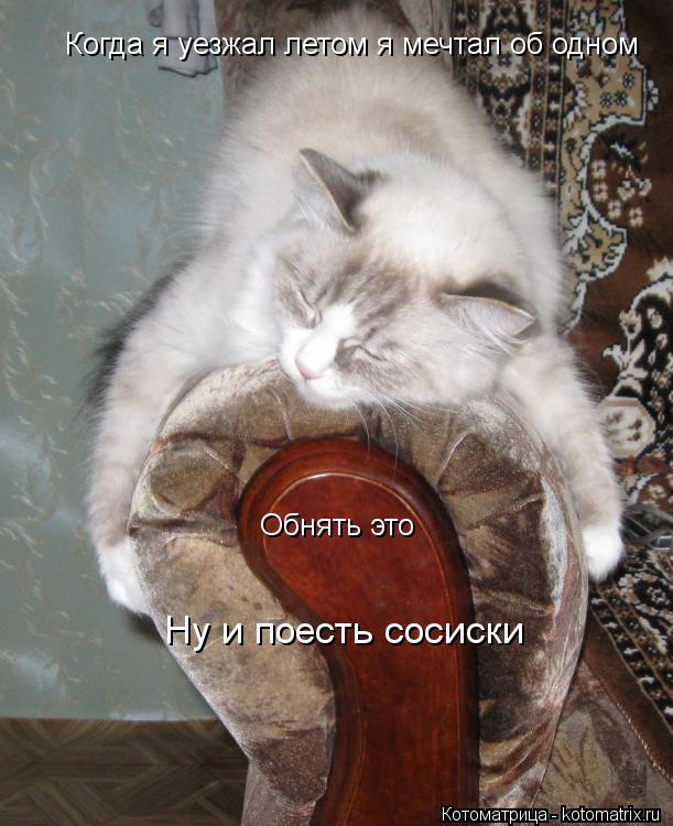 Котоматрица: Когда я уезжал летом я мечтал об одном Обнять это Ну и поесть сосиски