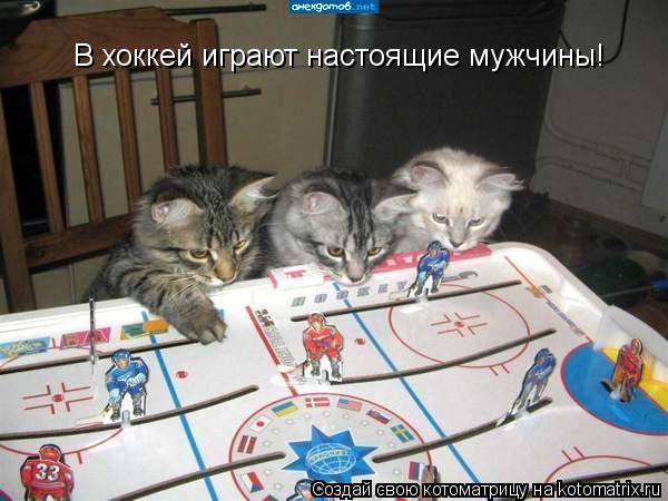 Котоматрица: В хоккей играют настоящие мужчины!