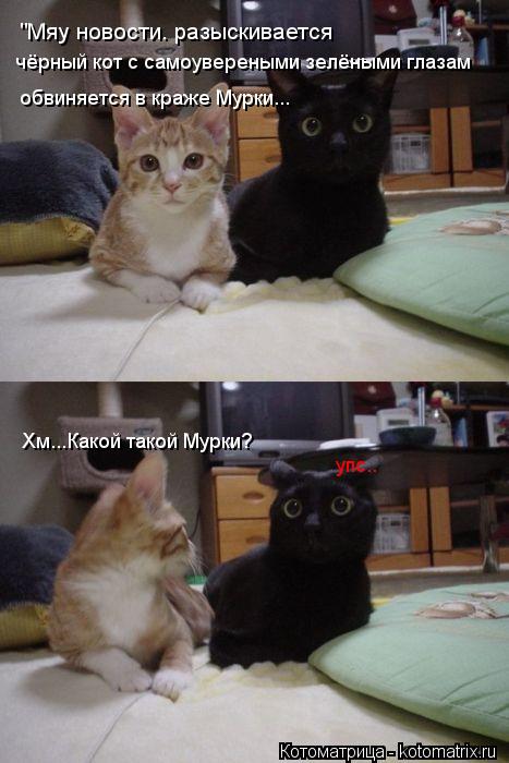 Котоматрица: "Мяу новости. разыскивается  чёрный кот с самоувереными зелёными глазам обвиняется в краже Мурки... Хм...Какой такой Мурки? упс..