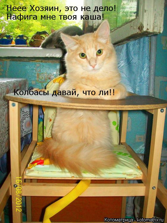 Неее Хозяин, это не дело! Нафига мне твоя каша! Колбасы давай, что ли!!... Котоматрица: Неее Хозяин, это не дело! Нафига мне твоя каша! Колбасы давай, что ли!!