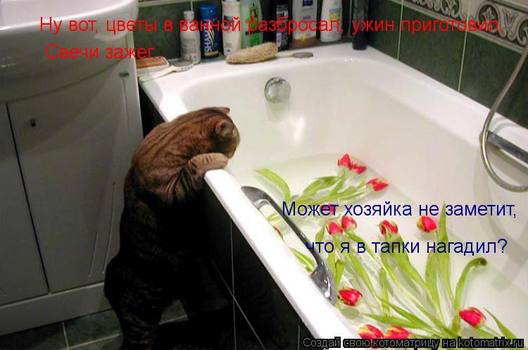 Котоматрица: Ну вот, цветы в ванной разбросал, ужин приготовил, Свечи зажег... Может хозяйка не заметит,  что я в тапки нагадил?
