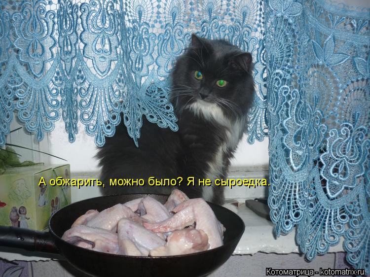 Котоматрица: А обжарить, можно было? Я не сыроедка.