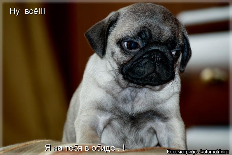 Котоматрица: Ну  всё!!! Я на тебя в обиде...!