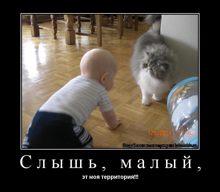 Котоматрица: Слышь, малый, эт моя территория!!!