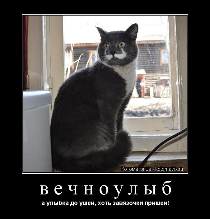 Котоматрица: вечноулыб а улыбка до ушей, хоть завязочки пришей!