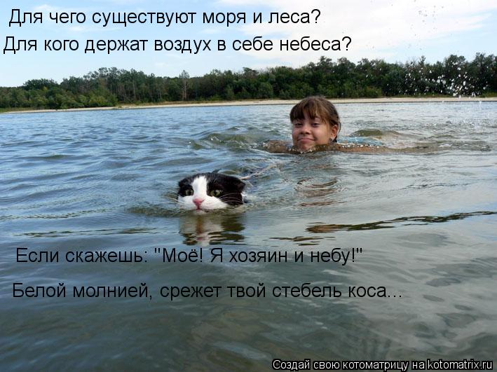 Котоматрица: Для чего существуют моря и леса? Для кого держат воздух в себе небеса? Если скажешь: "Моё! Я хозяин и небу!"  Белой молнией, срежет твой стебель