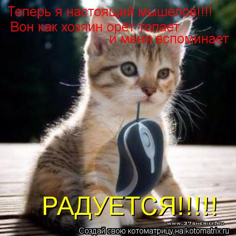 Теперь я настоящий мышелов!!!! Вон как хозяин орёт топает и меня вспоминает РАДУЕТСЯ!!!!!... Котоматрица: Теперь я настоящий мышелов!!!! Вон как хозяин орёт топает и меня вспоминает РАДУЕТСЯ!!!!!