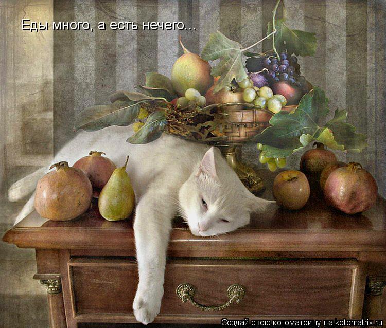 Котоматрица: Еды много, а есть нечего...