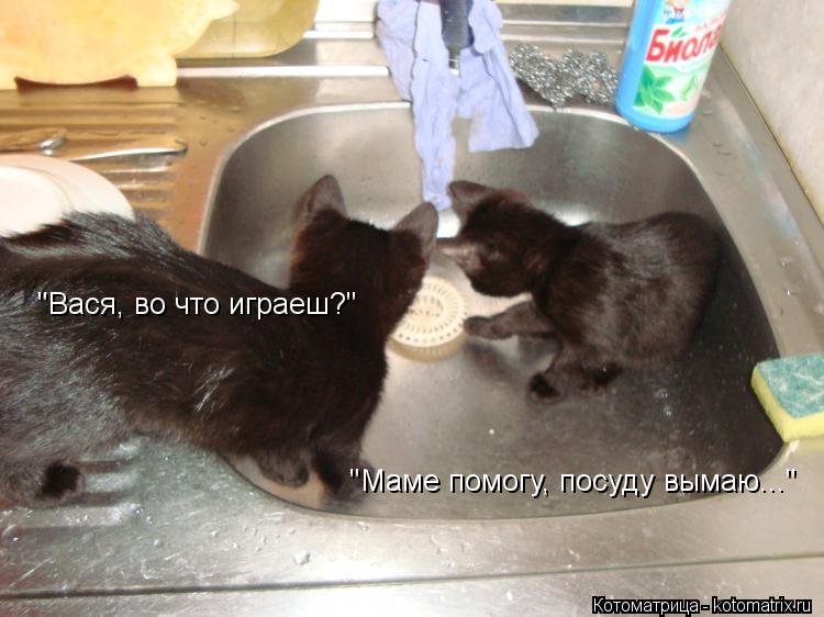 Котоматрица: "Вася, во что играеш?" "Маме помогу, посуду вымаю..."