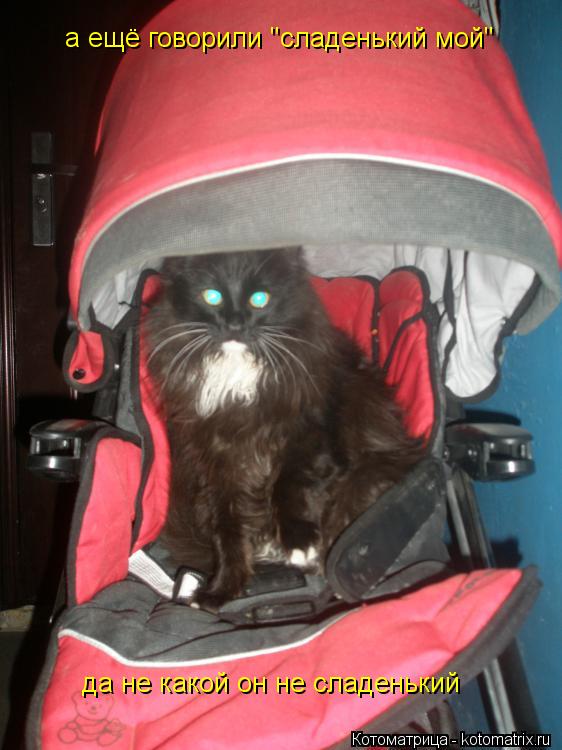 Котоматрица: а ещё говорили "сладенький мой" да не какой он не сладенький