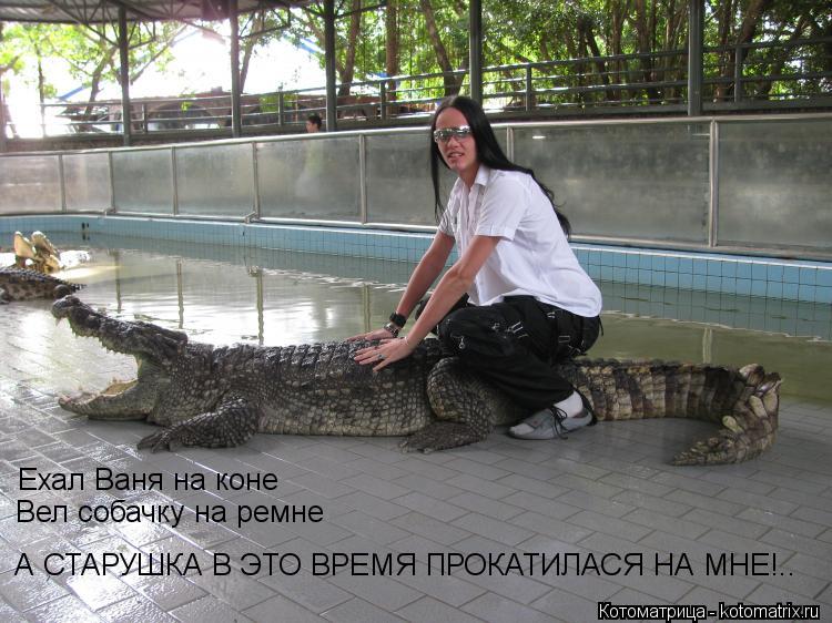 Ехал Ваня на коне Вел собачку на ремне А СТАРУШКА В ЭТО ВРЕМЯ ПРОКАТИЛАСЯ НА МНЕ!..... Котоматрица: Ехал Ваня на коне Вел собачку на ремне А СТАРУШКА В ЭТО ВРЕМЯ ПРОКАТИЛАСЯ НА МНЕ!..