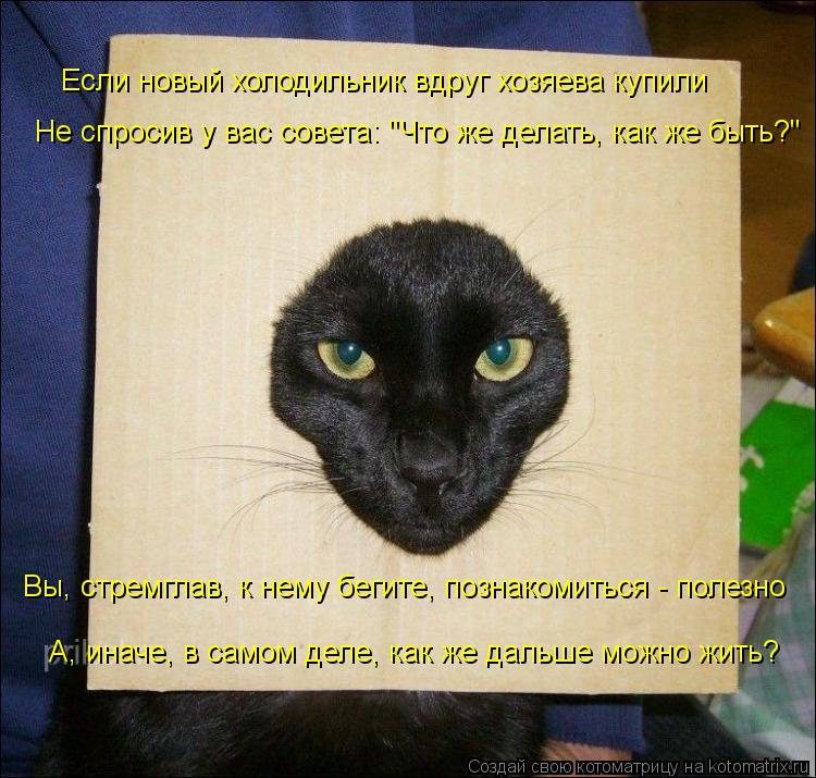 Котоматрица: Если новый холодильник вдруг хозяева купили Не спросив у вас совета: "Что же делать, как же быть?" Вы, стремглав, к нему бегите, познакомиться 
