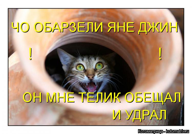 Котоматрица: ЧО ОБАРЗЕЛИ ЯНЕ ДЖИН ОН МНЕ ТЕЛИК ОБЕЩАЛ И УДРАЛ ! !