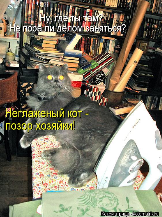 Ну, где ты там? Не пора ли делом заняться? Неглаженый кот - позор хозяйки!... Котоматрица: Ну, где ты там? Не пора ли делом заняться? Неглаженый кот - позор хозяйки!