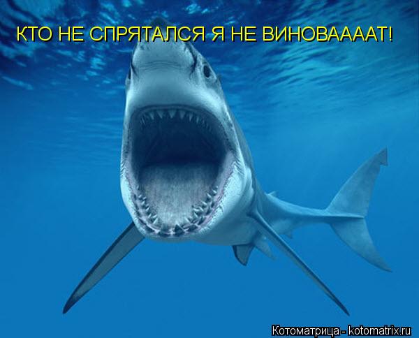 Котоматрица: КТО НЕ СПРЯТАЛСЯ Я НЕ ВИНОВААААТ!