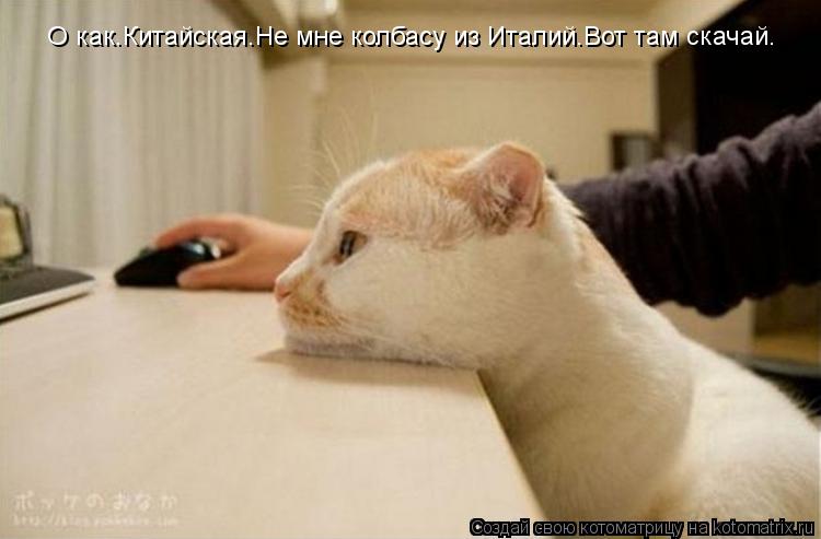 Котоматрица: О как.Китайская.Не мне колбасу из Италий.Вот там скачай.