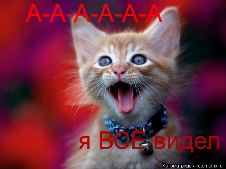А-А-А-А-А-А я ВСЁ видел... Котоматрица: А-А-А-А-А-А я ВСЁ видел