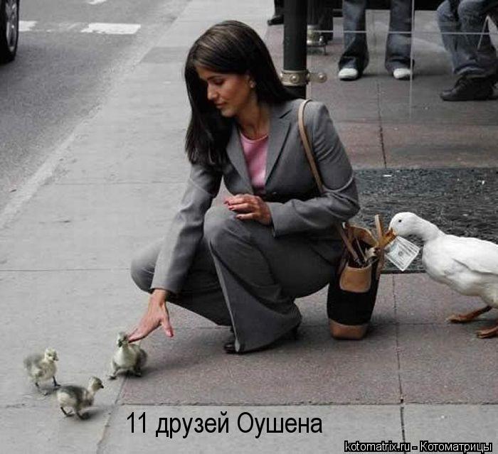 Котоматрица: 11 друзей Оушена