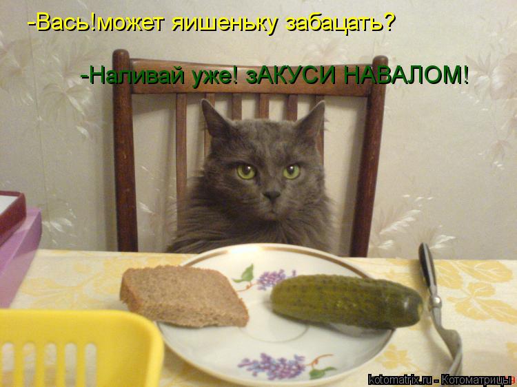 Котоматрица: -Вась!может яишеньку забацать? -Наливай уже! зАКУСИ НАВАЛОМ!