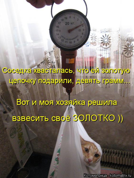 Котоматрица: Соседка хвасталась, что ей золотую  цепочку подарили, девять грамм...  Вот и моя хозяйка решила  взвесить своё ЗОЛОТКО ))