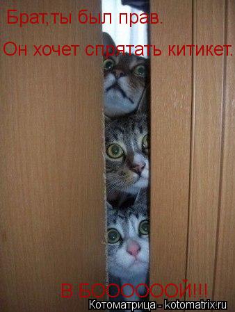 Котоматрица: Брат,ты был прав. Он хочет спрятать китикет. В БООООООЙ!!!