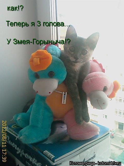 Котоматрица: как!? Теперь я 3 голова... У Змея-Горыныча!?