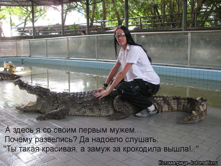 Котоматрица: А здесь я со своим первым мужем... Почему развелись? Да надоело слушать: "Ты такая красивая, а замуж за крокодила вышла!.."