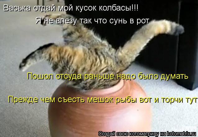 Котоматрица: Васька отдай мой кусок колбасы!!! Я не влезу так что сунь в рот Пошол отсуда раньше надо было думать Прежде чем съесть мешок рыбы вот и торчи 