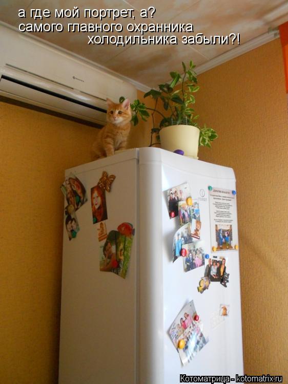 Котоматрица: а где мой портрет, а? самого главного охранника  холодильника забыли?!