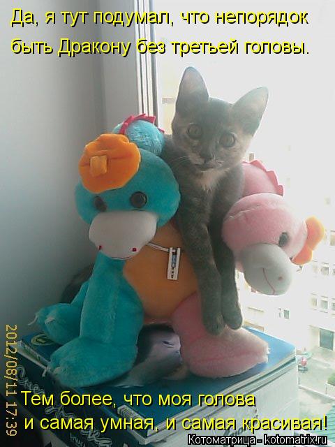 Котоматрица: Да, я тут подумал, что непорядок  быть Дракону без третьей головы. Тем более, что моя голова  и самая умная, и самая красивая!