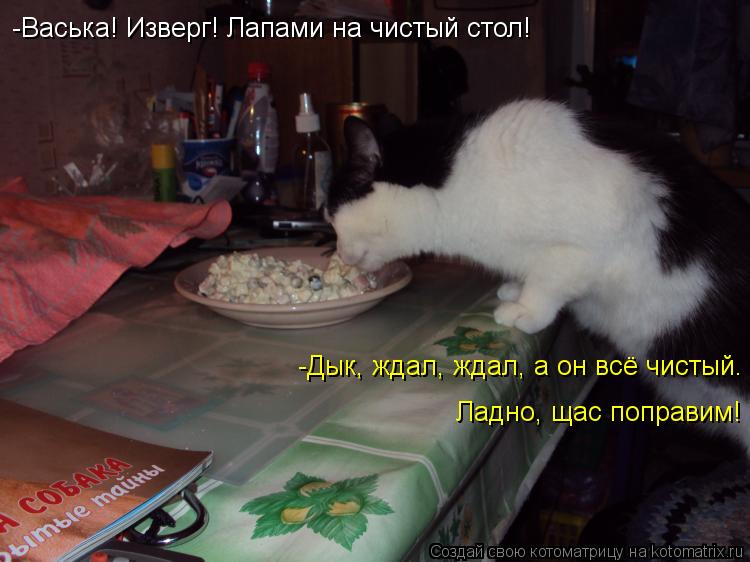 Котоматрица: -Васька! Изверг! Лапами на чистый стол! -Дык, ждал, ждал, а он всё чистый. Ладно, щас поправим!
